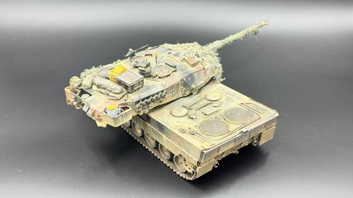 Ryefield scale leopard - scale,