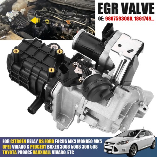 Egr valve module cooler - module, for