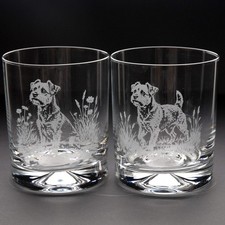 Border Terrier Dog Whiskey