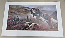 Mick Cawston Sense &