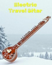 Professional Sitar instrument