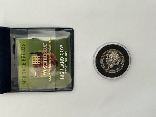 2024 highland cow pound - 2024, £2