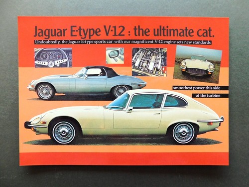 Jaguar type 12 - jaguar, e-type