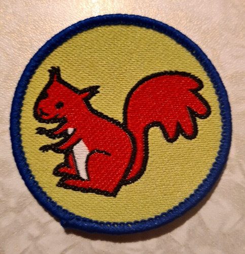 Bs24 girl guides rangers - bs24,