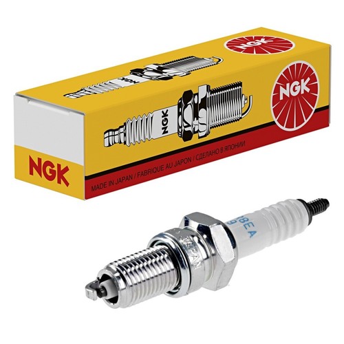 Ngk spark plug - plug, (no