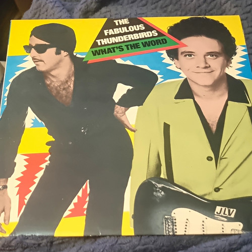 The fabulous thunderbirds - the,