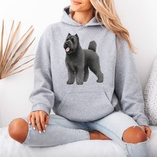 Bouvier Des Flandres Dog