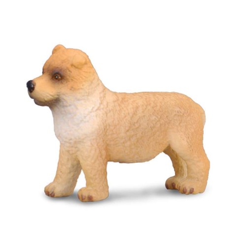 Chow puppy cm - puppy, 3.5