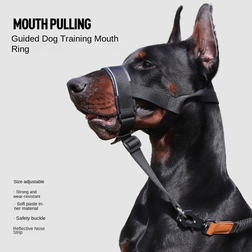 Dog halter training head - dog,