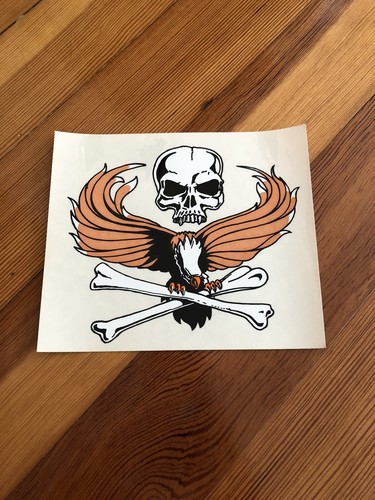 Vintage skull crossbone eagle - crossbone,