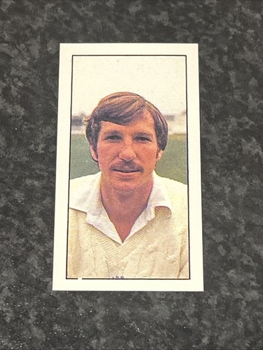 Rare 1979 bassett - 1979, bassett/barratt
