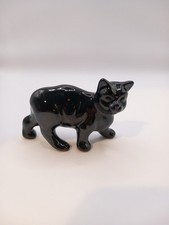 Glossy Black Shiny Manx Cat