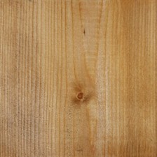 Golden Pine Water Based Wood