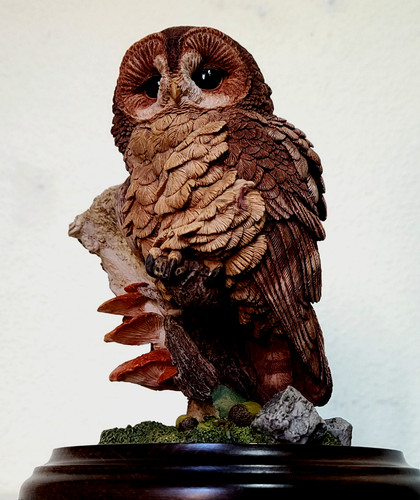 Country artists large - large, tawny