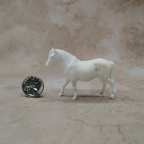 Pony venti scale - pony,