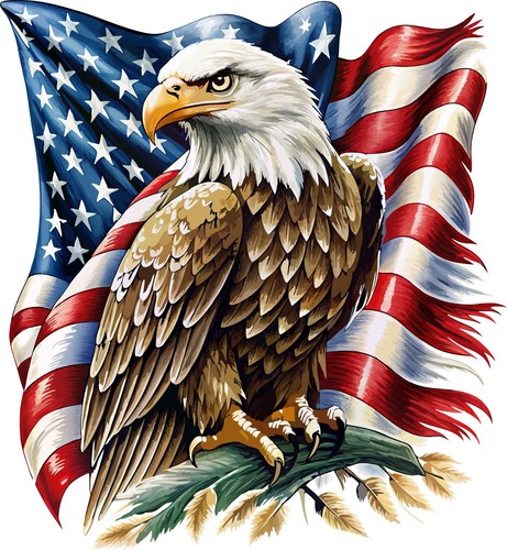 Eagle american flag - eagle, rv