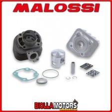 3113066 CYLINDER KIT MALOSSI