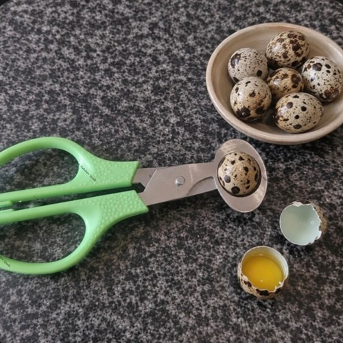 Quail egg scissors high - quail,