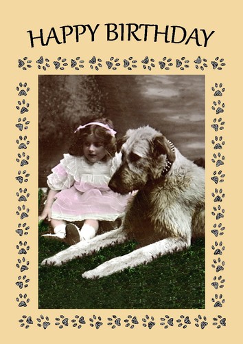 Irish wolfhound dog birthday - dog,