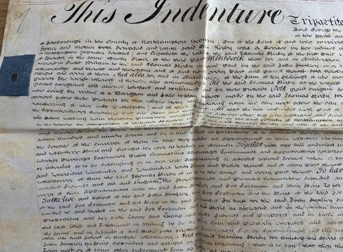 Vellum manuscript 1813 - vellum,