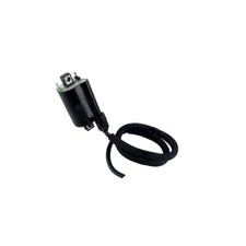 IGNITION COIL 12V 700.09.00