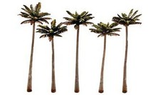 Set of 5 Tall Palm Trees (4