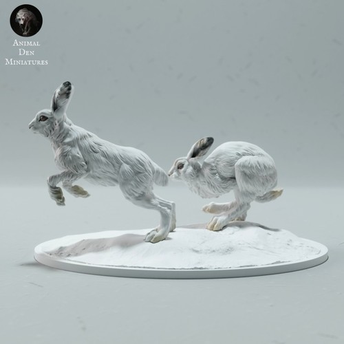 Arctic hares run 3d printed - run,