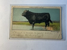 Vintage Rural Postcard Types Lemco Cattle Aberdeen Angus #12285