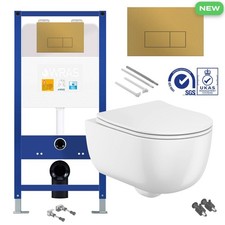 Rimless Wall Hung Toilet 2.0