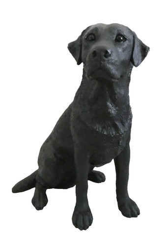 Black labrador sitting - black,