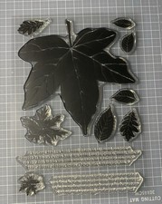 Floral Theme Clear Stamps for