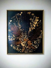 Beautiful Vintage Framed Real Pressed Flowers Vintage Ferns,Four Leaf clover etc