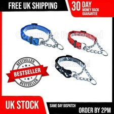 CHOKER DOG COLLAR STRONG