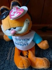 Ty Garfield Perfection Is Hard