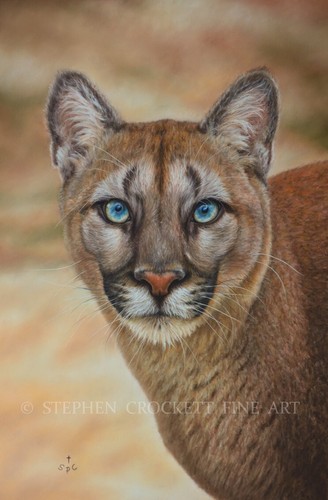 Original fine art - original,