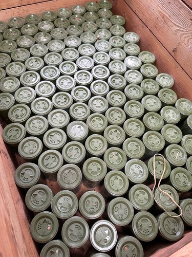 Original army vietnam war - original,