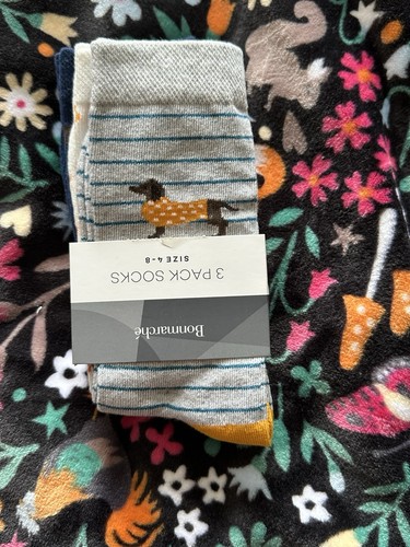 Sausage dog dachshund - dachshund, socks