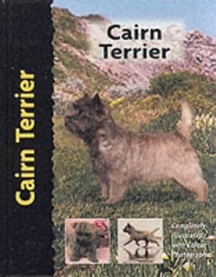 Cairn terrier dog breed - terrier,