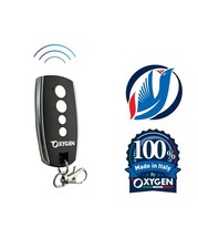 Remote Control Moses for