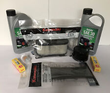 Countax C800H &C600H With Kawasaki FS481V FS541V or FS730V Engine Service Kit