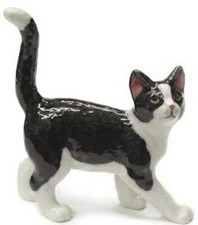 Northern Rose Miniature