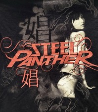 2009 Concert Tour Steel