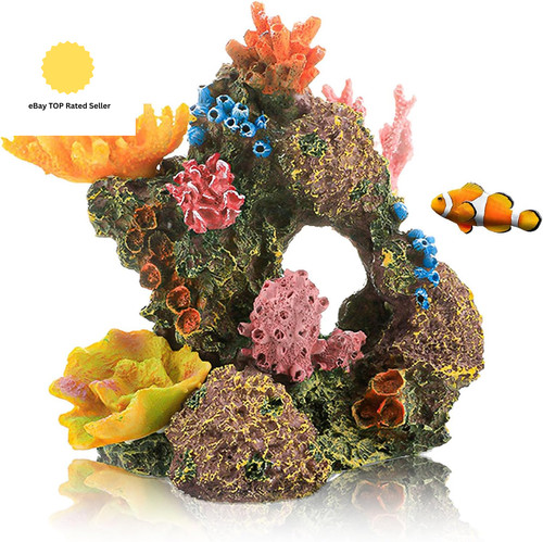 Aquarium coral - aquarium,