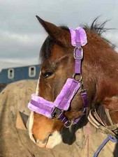 STAR SHINY HEADCOLLAR WITH