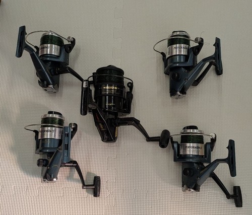 Daiwa silstar fishing - daiwa,