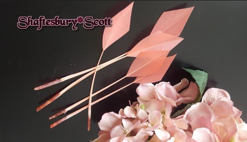 Feathers pieces arrow - feathers, x