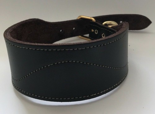 Leather dog collar - dog,
