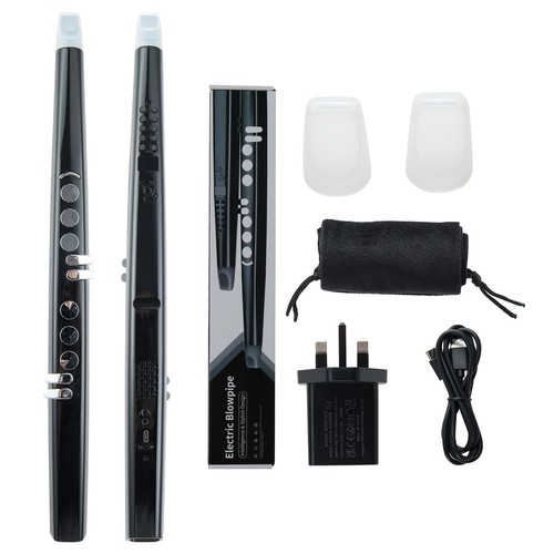 Electronic wind instrument - electronic,