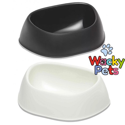 Medium dog pet - dog,