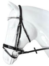 Browband Noseband Headpiece